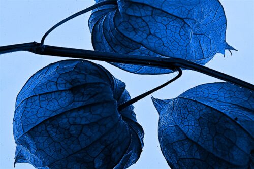 Ben Paauwe - Thema Abstract - 2